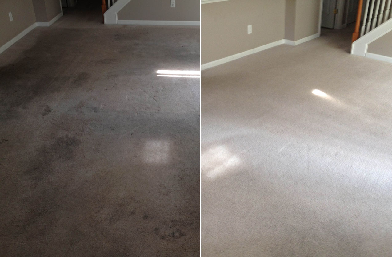 Fairfield Carpet Cleaning Pros Image